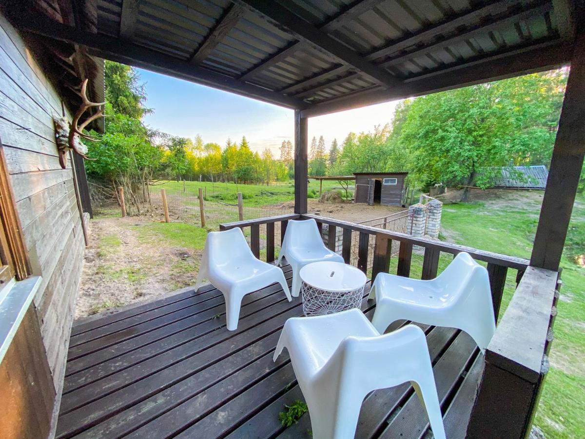 Private Farm Jakuzzi Sauna In The Forest Talsi Exterior foto