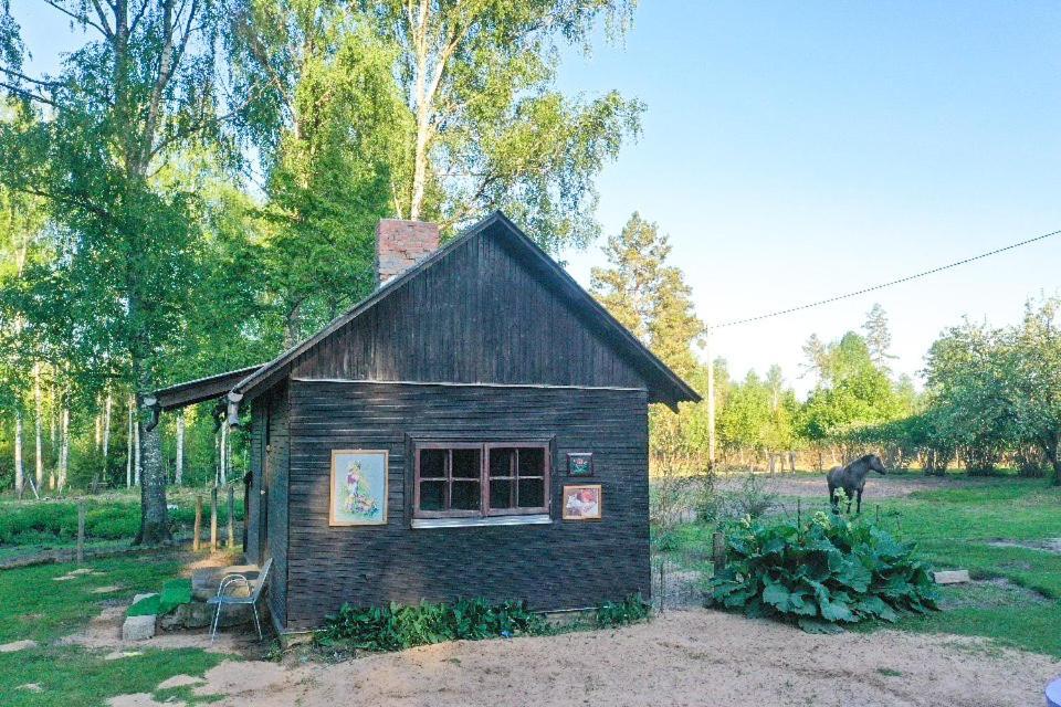 Private Farm Jakuzzi Sauna In The Forest Talsi Exterior foto