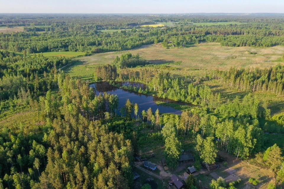 Private Farm Jakuzzi Sauna In The Forest Talsi Exterior foto